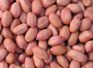 Read more about the article History of Peanuts, Nutrition Facts and Health Benefits Groundnut