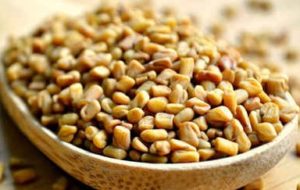 Read more about the article Benefits of Fenugreek in Tamil