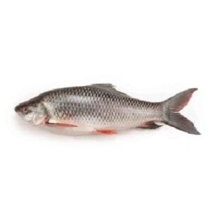Read more about the article Nutritional Value of Rohu Fish Health Benefits