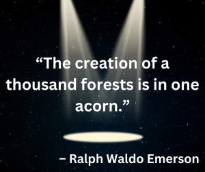 Read more about the article Tree Plantation Quotes to Inspire